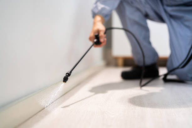Licensed Mosquito Control service in Madison, SD - Show Me Pest Control