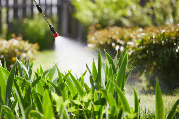24/7 Emergency Mosquito Control experts in Madison, SD