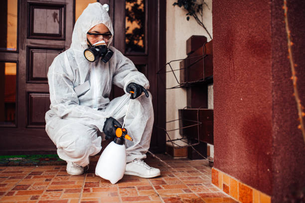 Reliable Mosquito Control contractor in Madison, SD by Show Me Pest Control
